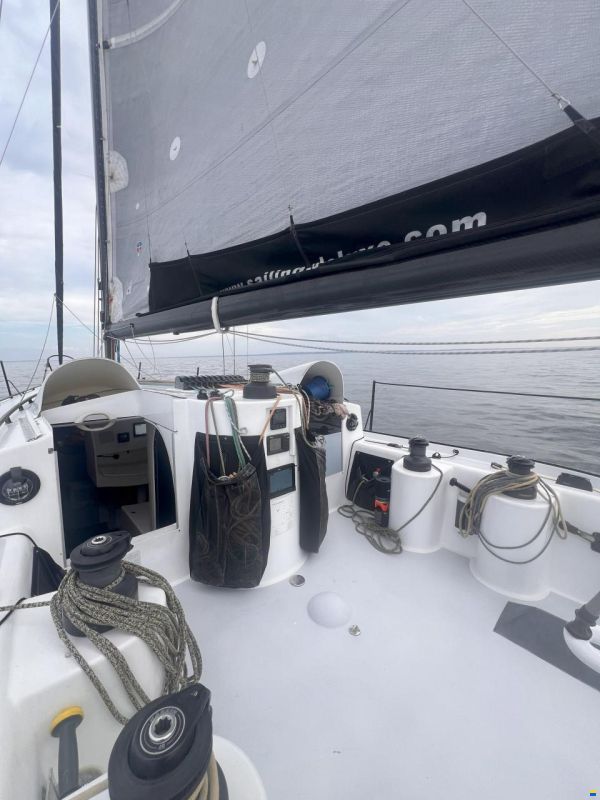 Lion Yachts Class 40
