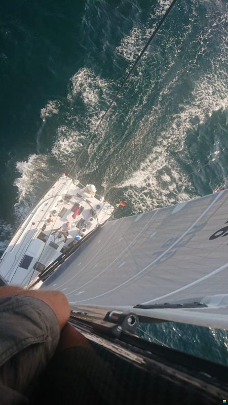 Lion Yachts Class 40