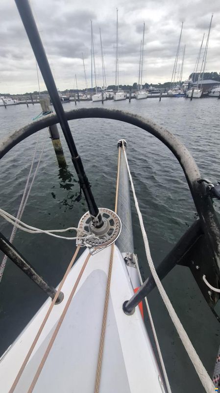 Lion Yachts Class 40