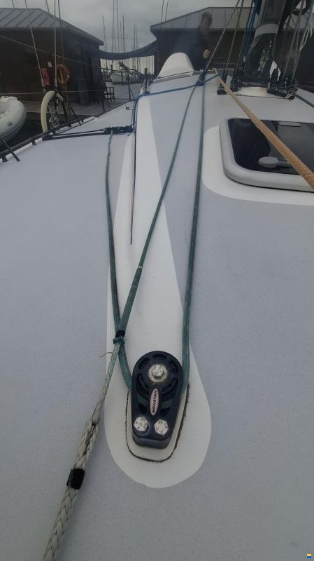 Lion Yachts Class 40
