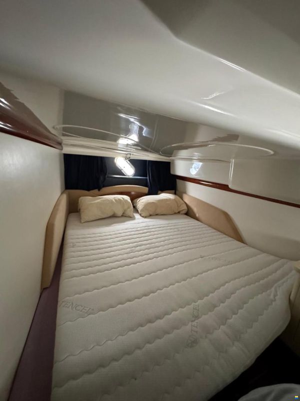 Cranchi Endurance 41