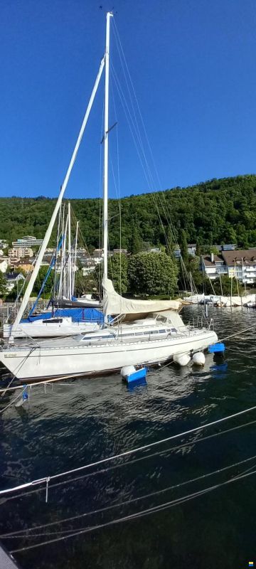 Faurby 330 de Luxe Bodensee