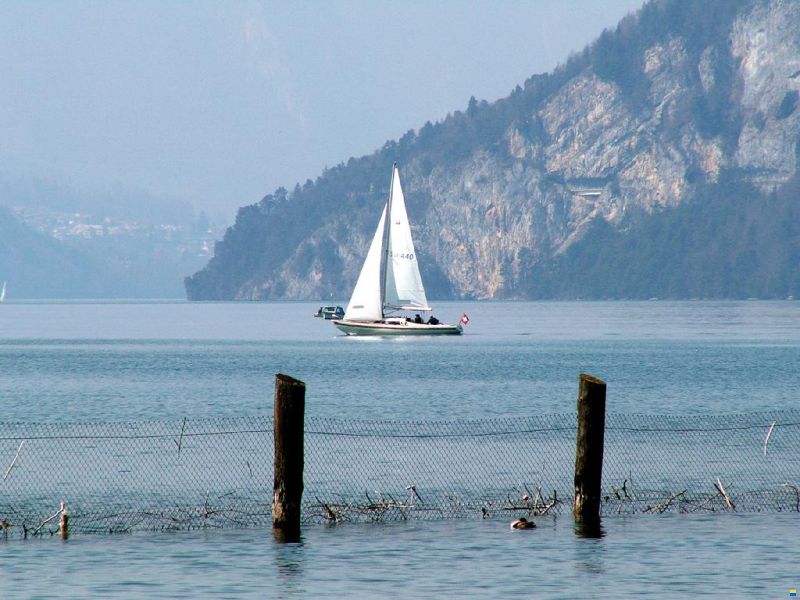 Frauscher H-Boot