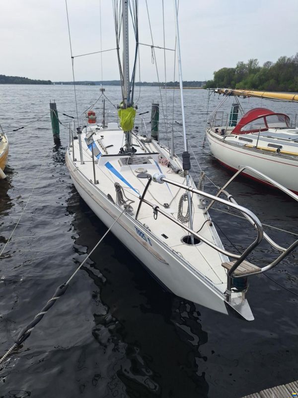 Helmsmann Lady Helmsman