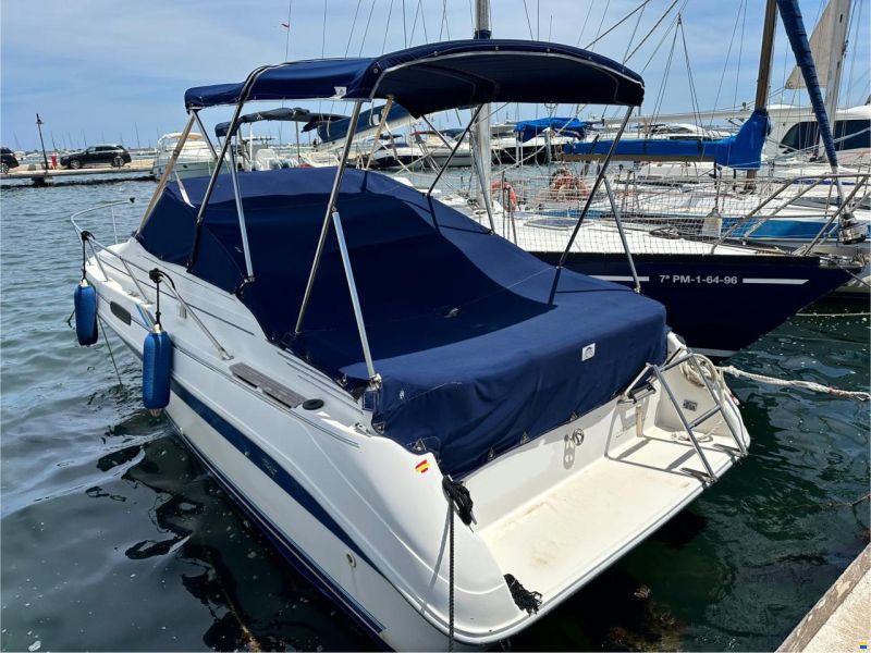 Sea Ray 230 DA SUNDANCER