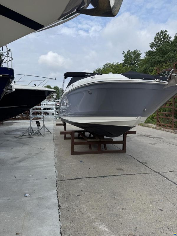Sea Ray SDX 270 Outboard