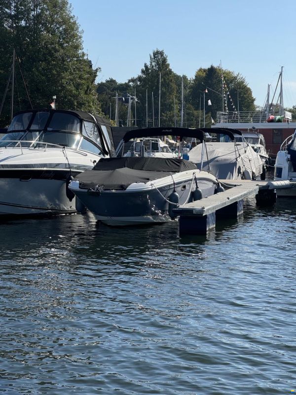Sea Ray SDX 270 Outboard