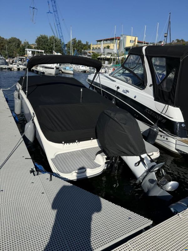 Sea Ray SDX 270 Outboard