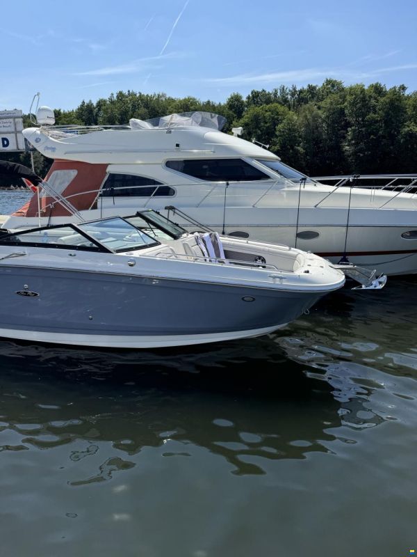 Sea Ray SDX 270 Outboard