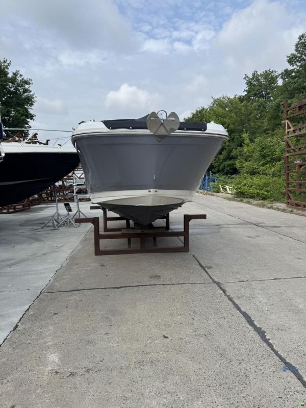 Sea Ray SDX 270 Outboard