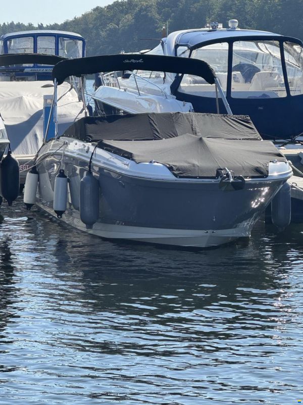 Sea Ray SDX 270 Outboard