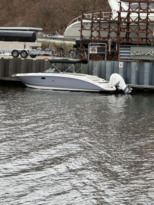 Sea Ray SDX 270 Outboard