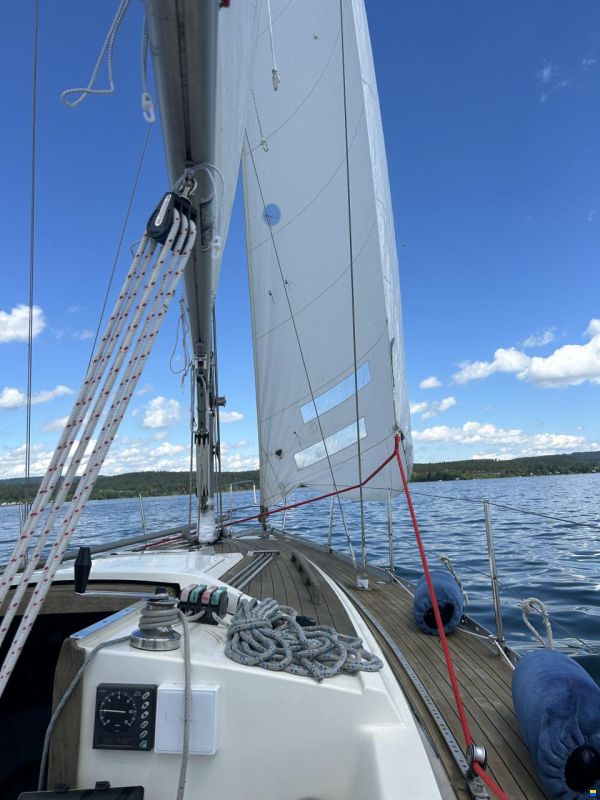 Bianca 320