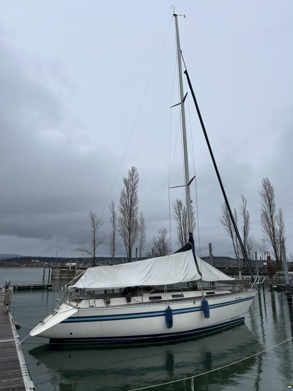 Bianca 320