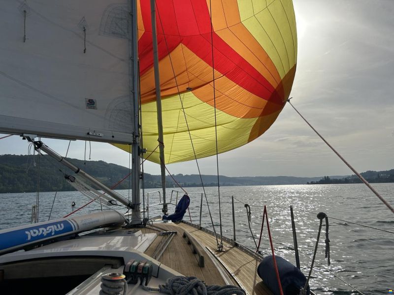 Bianca 320 teakdeck