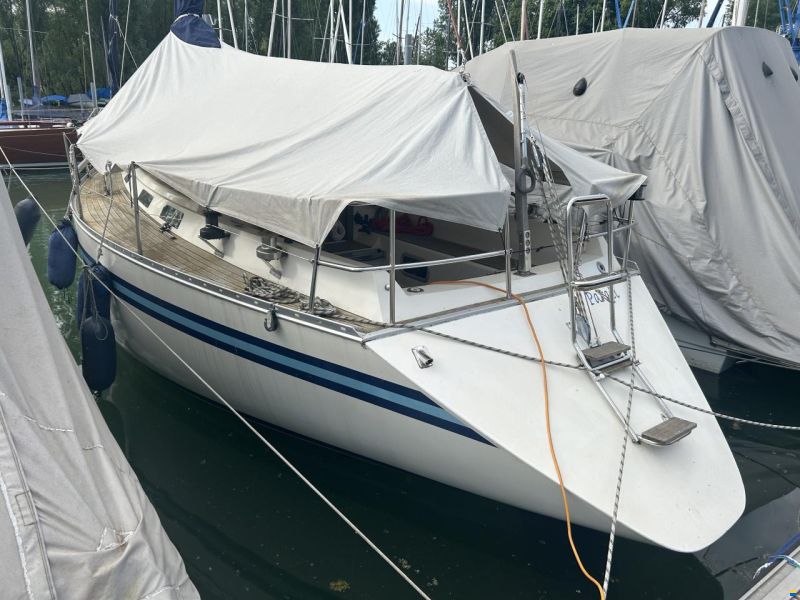 Bianca 320