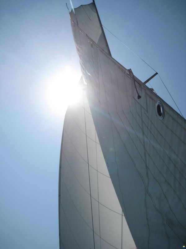 Artekno Siesta 32