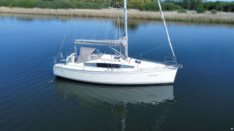 Delphia 31