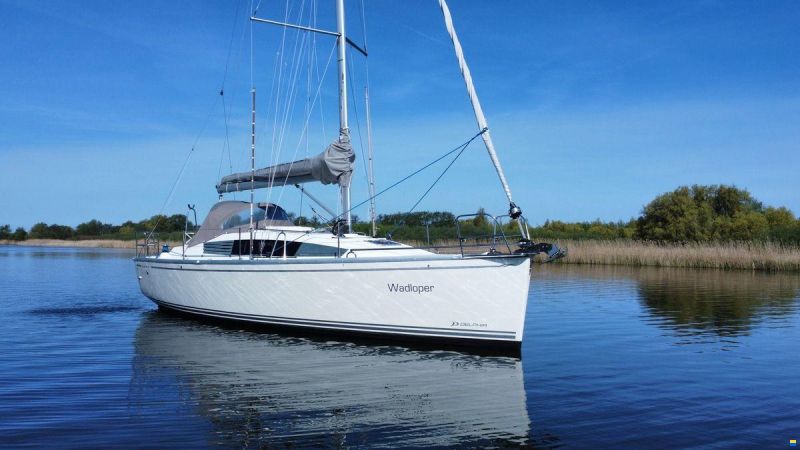 Delphia 31