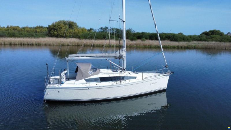 Delphia 31