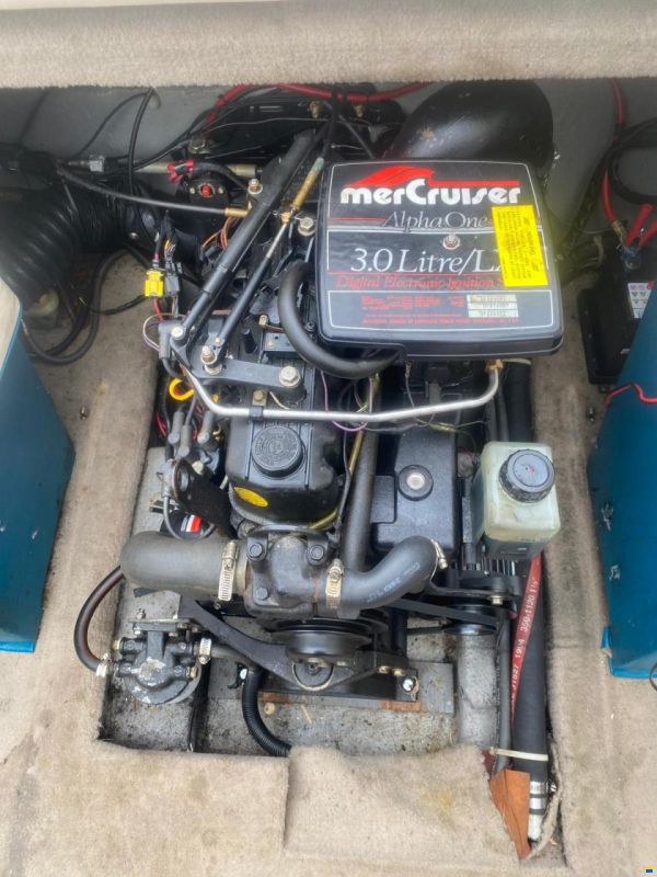 Renken 200cc
