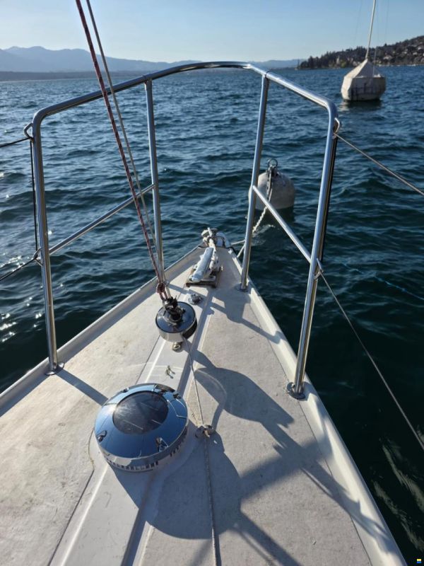 Elvström H-Boot