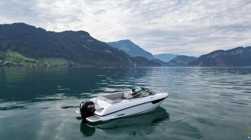 Flipper 650 DayCruiser