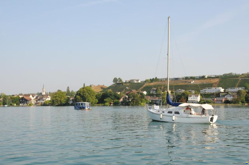 de Kloet Fellowship 27