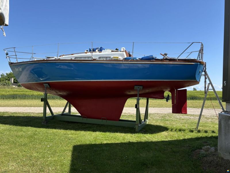 Athena 30