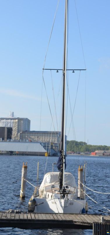 Nivoba Dogger SJ 33