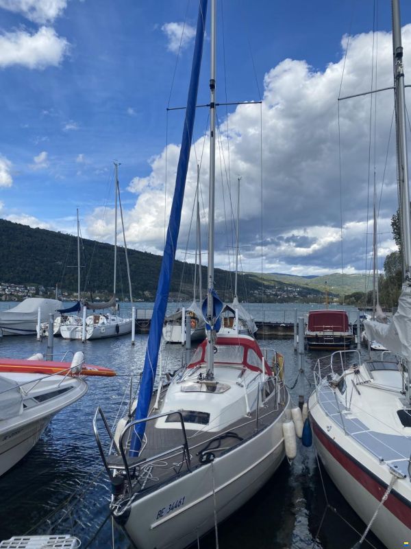 Neptun 25