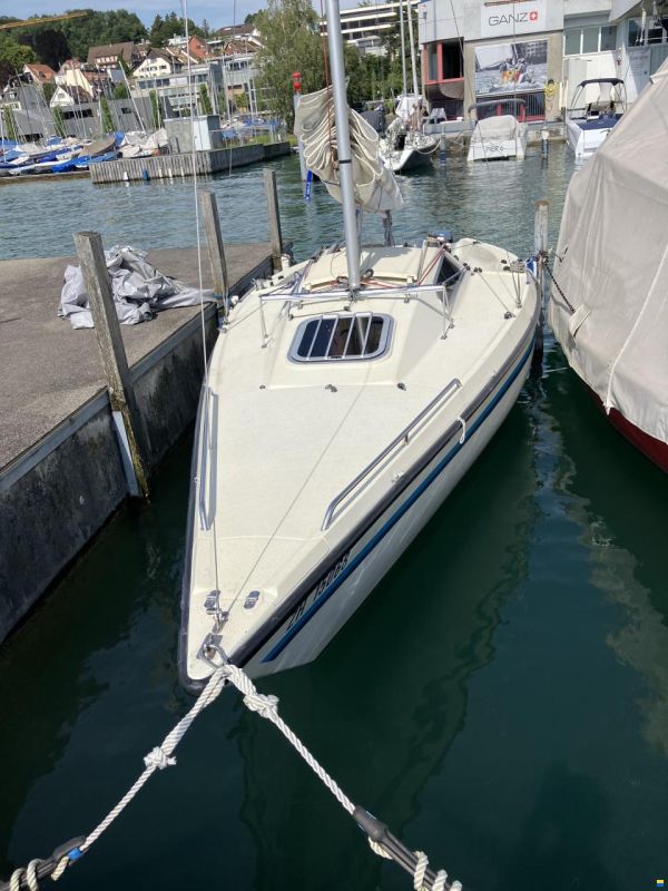 Moser m1
