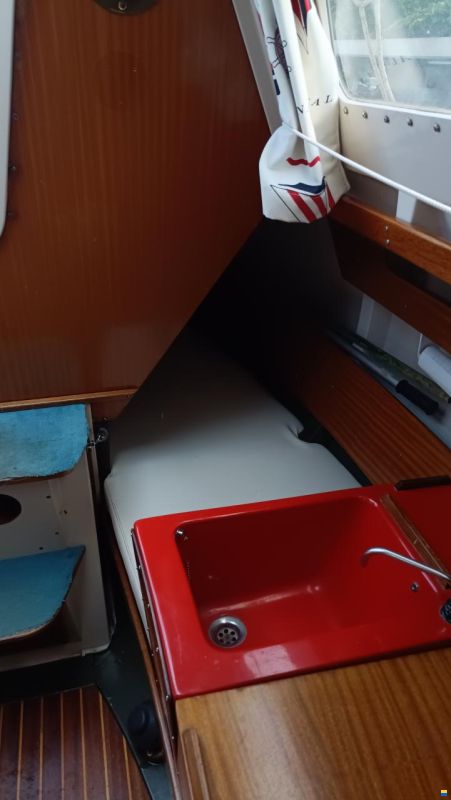 Mallard Écume de mer