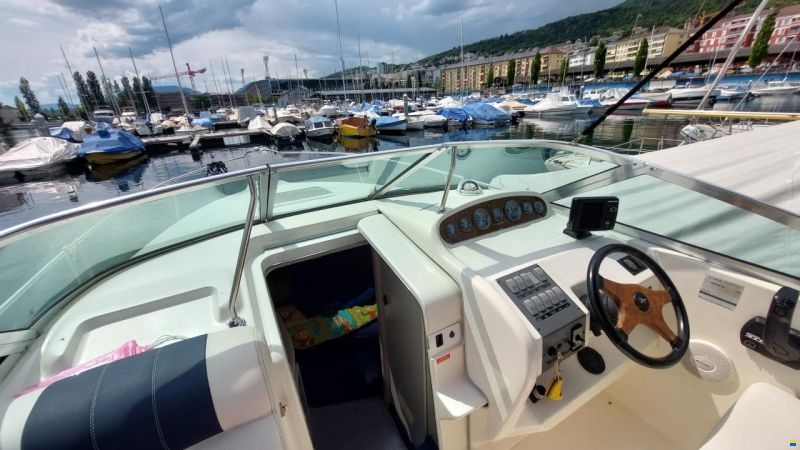 Sea Ray DA Sundancer 250