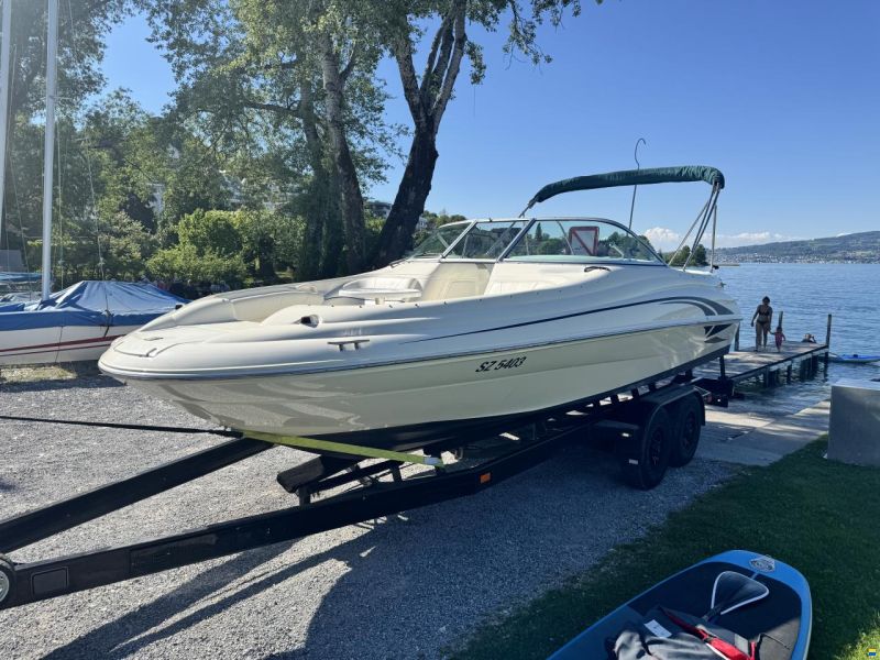 Sea Ray Sundeck 210
