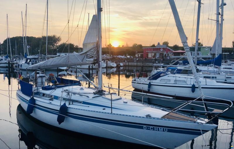Athena 34