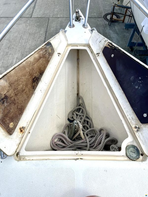 Athena 34
