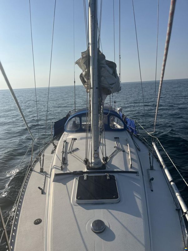 Athena 34