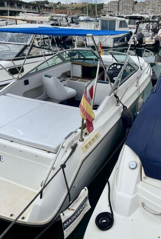 Sea Ray 230