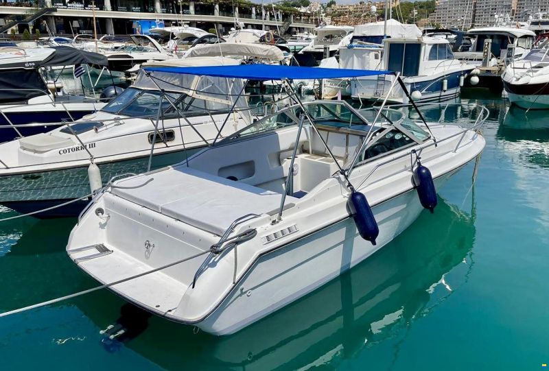 Sea Ray 230