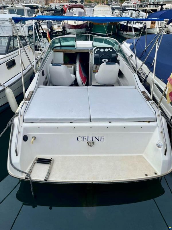 Sea Ray 230