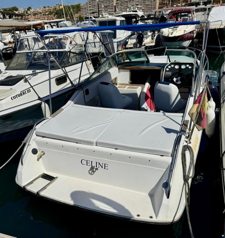 Sea Ray 230