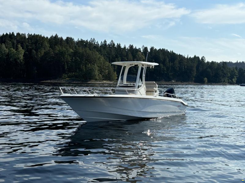 Boston Whaler 250 Dauntless
