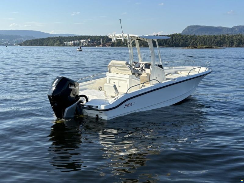 Boston Whaler 250 Dauntless