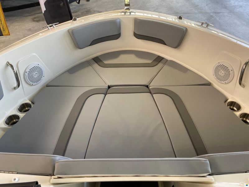 Bayliner V20i