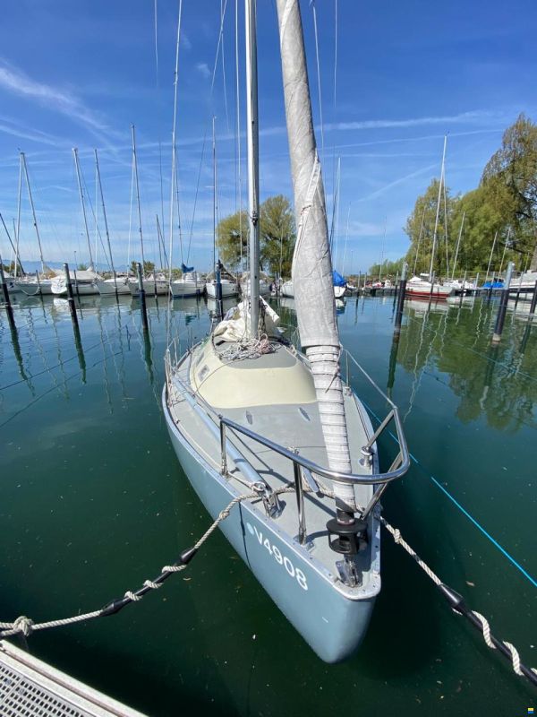Peter Bruun Spaekhugger F