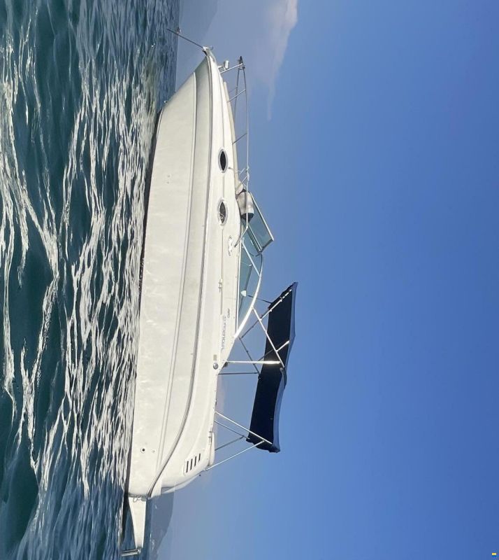 Sea Ray Sundancer 260