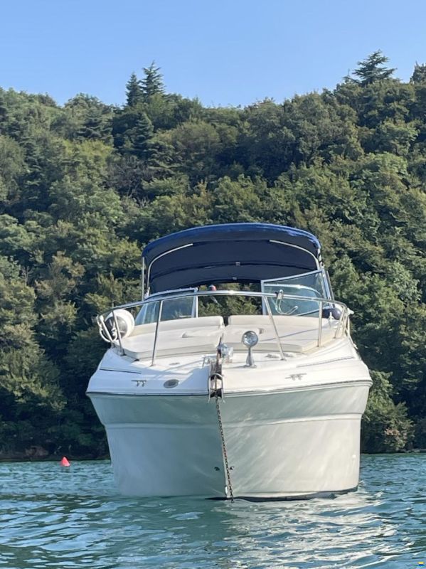 Sea Ray Sundancer 260