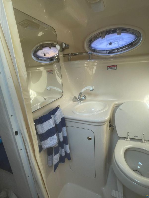 Sea Ray Sundancer 260