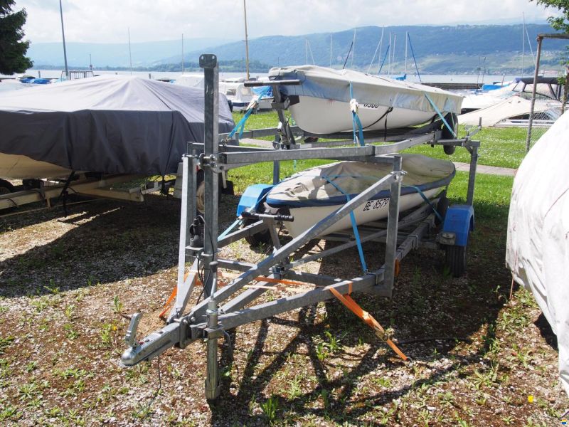 Laser Standard / Radial